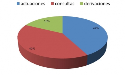 Enero 2013 - Gráfico por tipo de consultas